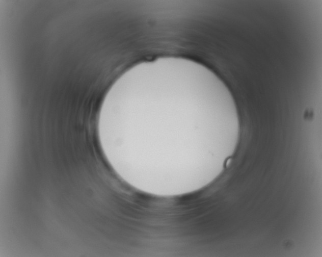 X0000113930576200910161854