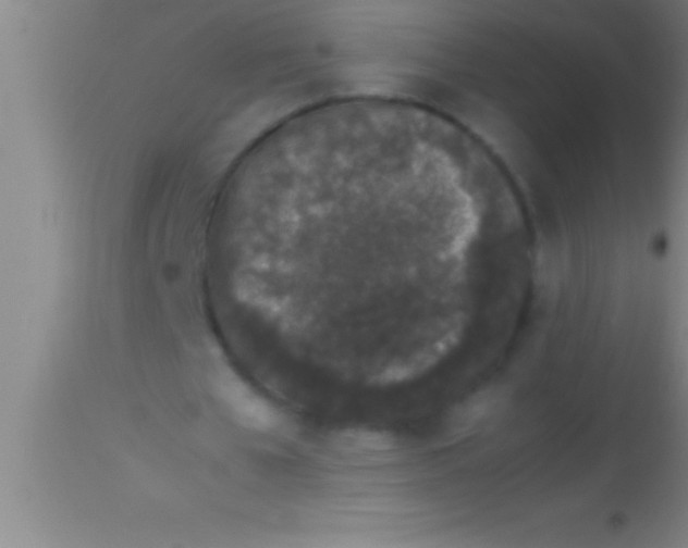 X0000113930577200910161853