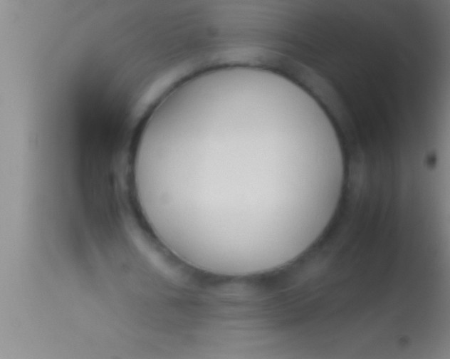 X0000113930578200910161853