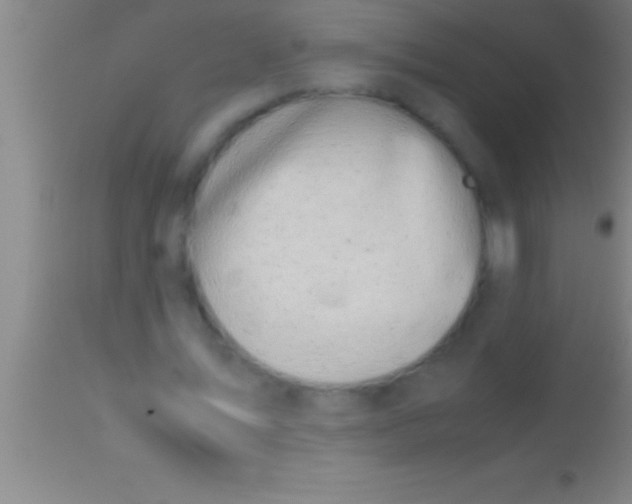 X0000113930579200910161853