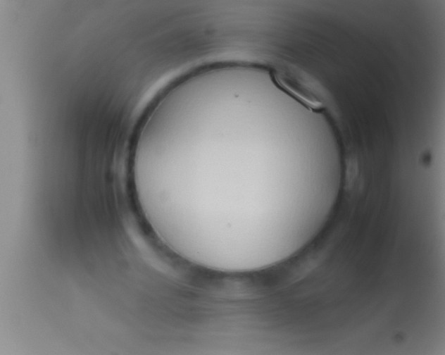 X0000113930580200910161853