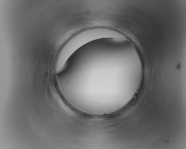 X0000113930581200910161853