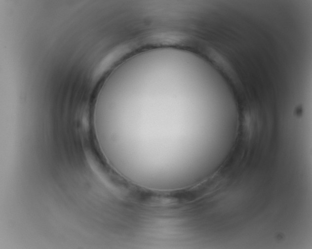 X0000113930582200910161853