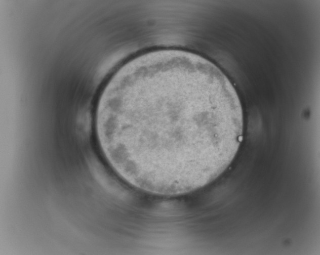 X0000113930584200910161853