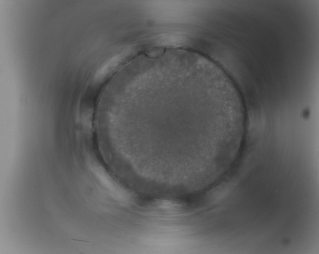 X0000113930585200910161853