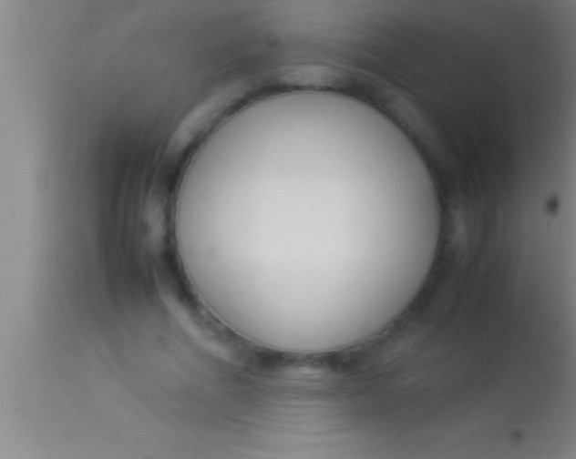 X0000113930586200910161853