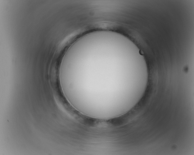 X0000113930587200910161853