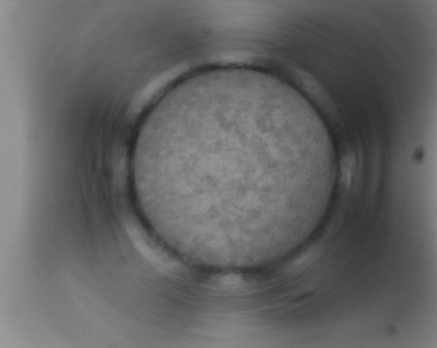 X0000113930588200910161853