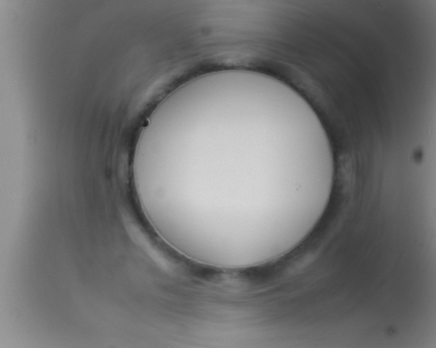 X0000113930589200910161853