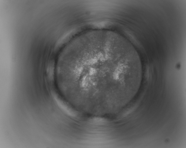 X0000113930590200910161853