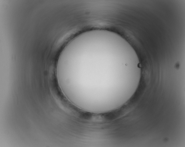 X0000113930591200910161853