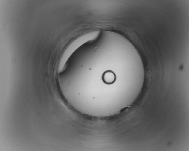 X0000113930593200910161853