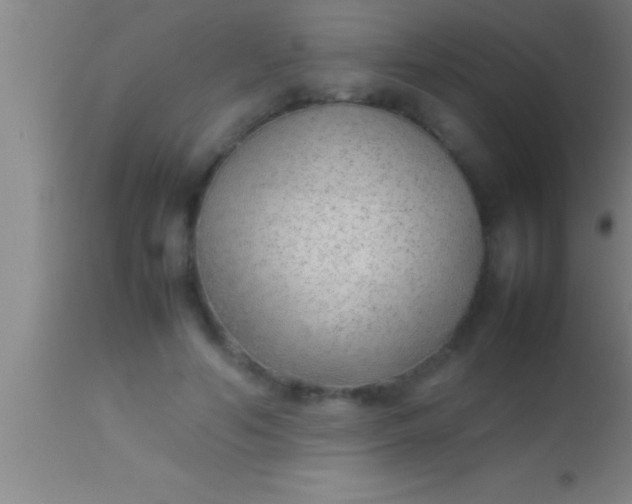 X0000113930594200910161853