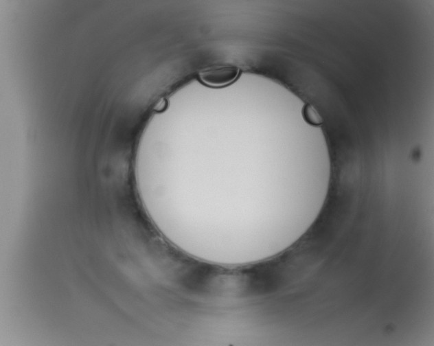 X0000113930595200910161853