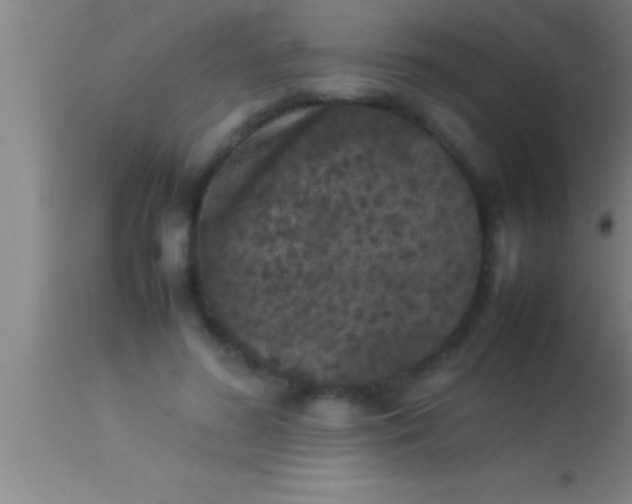 X0000113930596200910161853