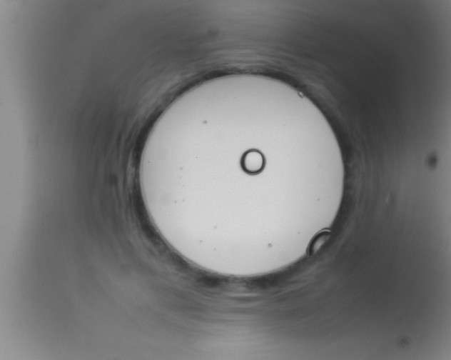 X0000113930597200910161853