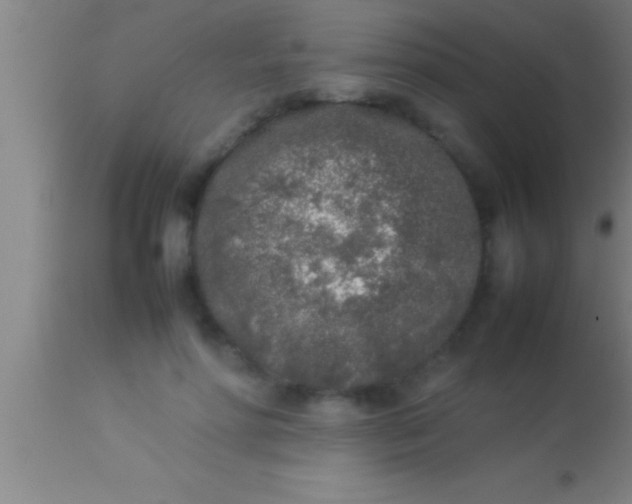 X0000113930598200910161853