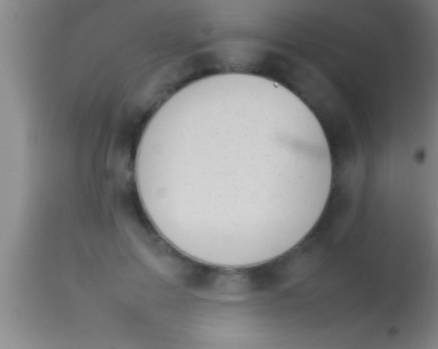 X0000113930599200910161853