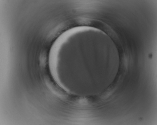 X0000113930600200910161853