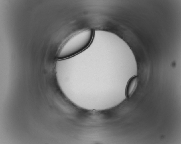 X0000113930601200910161853