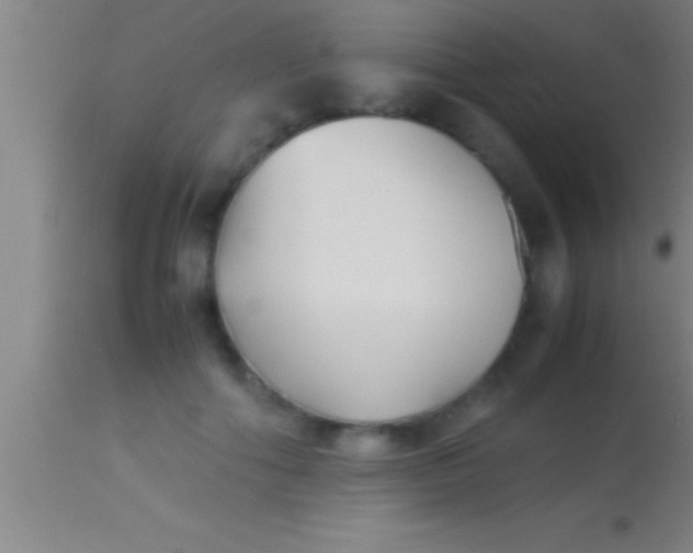 X0000113930602200910161853