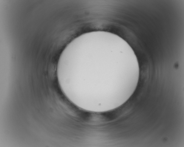 X0000113930605200910161853