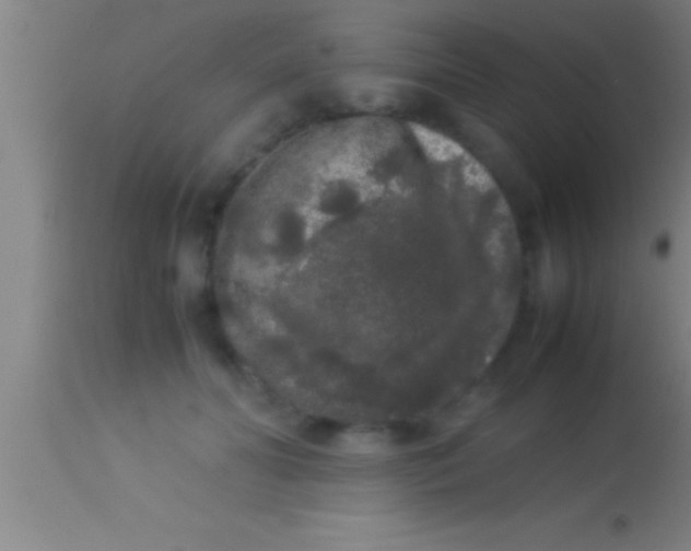 X0000113930606200910161853