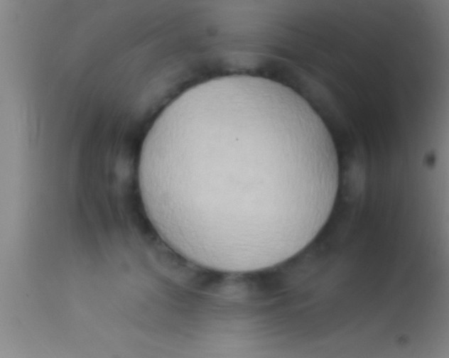 X0000113930608200910161853