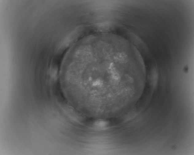 X0000113930610200910161853