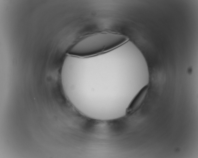 X0000113930611200910161853