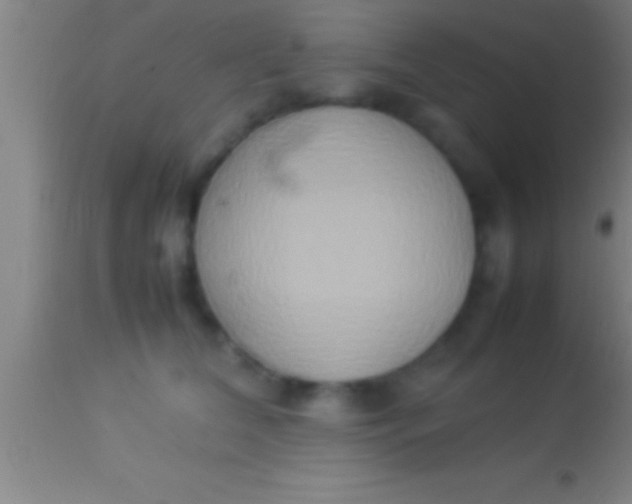 X0000113930612200910161853