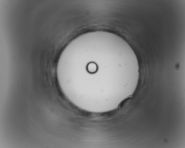 X0000113930613200910161853