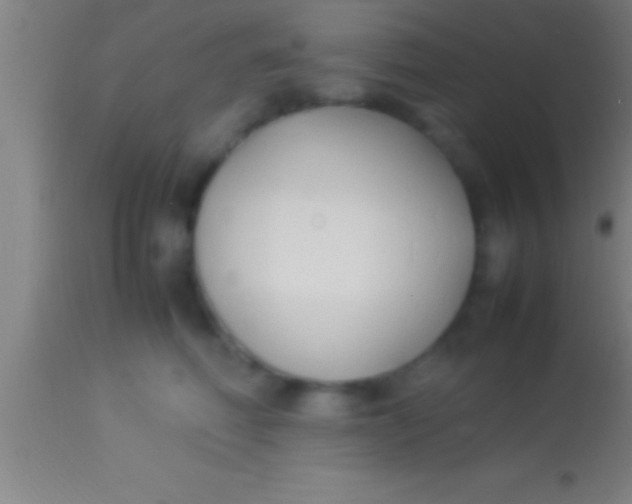 X0000113930614200910161853