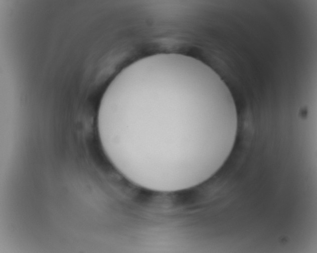 X0000113930615200910161853