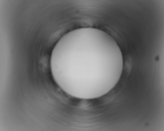 X0000113930616200910161853