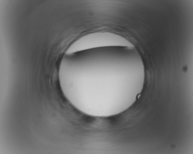 X0000113930617200910161853