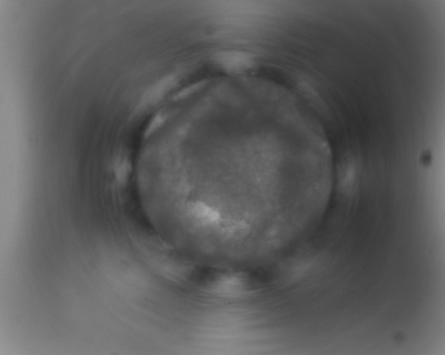 X0000113930618200910161853