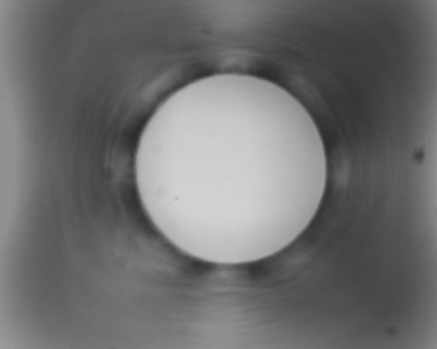 X0000113930619200910161853