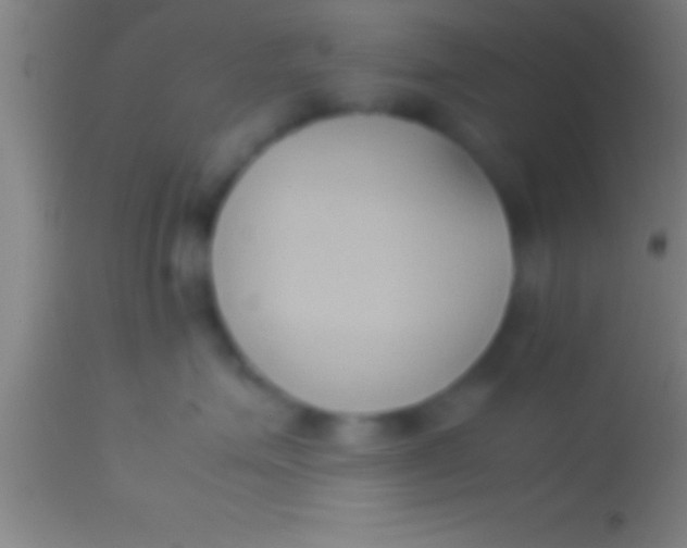 X0000113930623200910161852