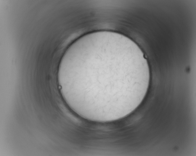 X0000113930625200910161852