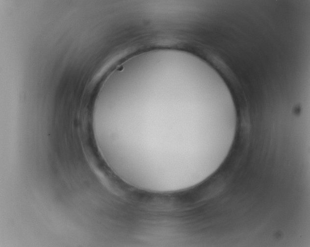 X0000113930626200910161852