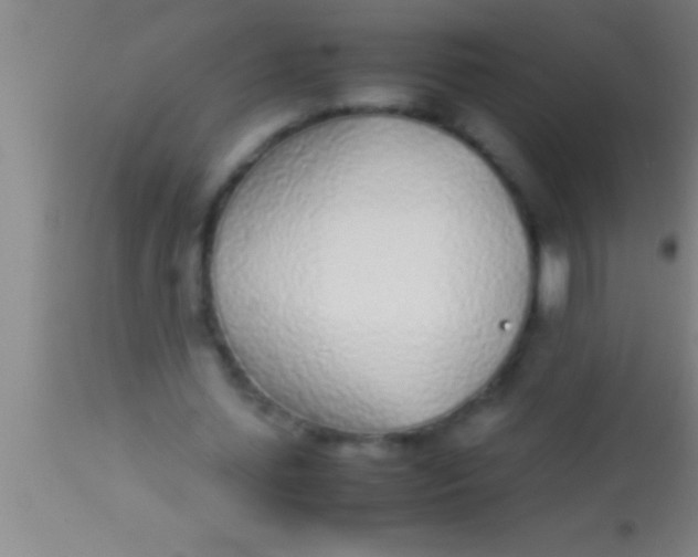 X0000113930627200910161852