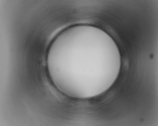 X0000113930628200910161852