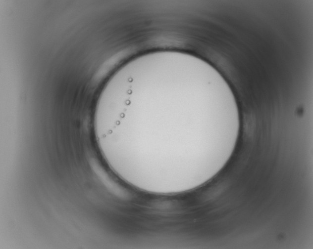 X0000113930629200910161852