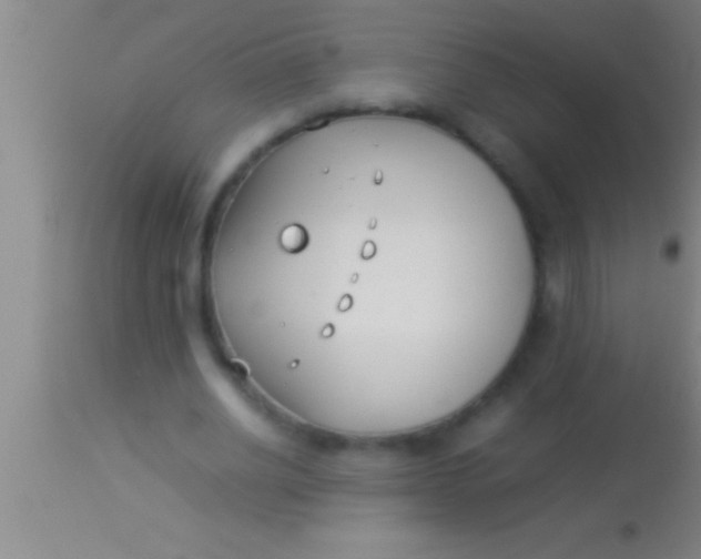 X0000113930630200910161852