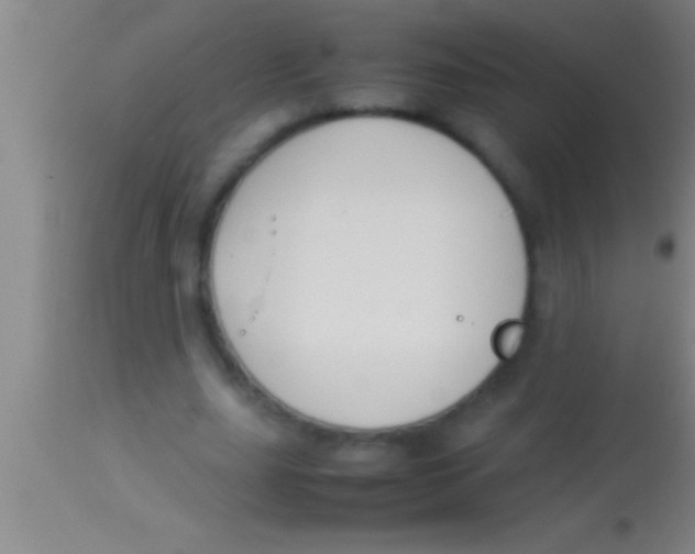 X0000113930631200910161852