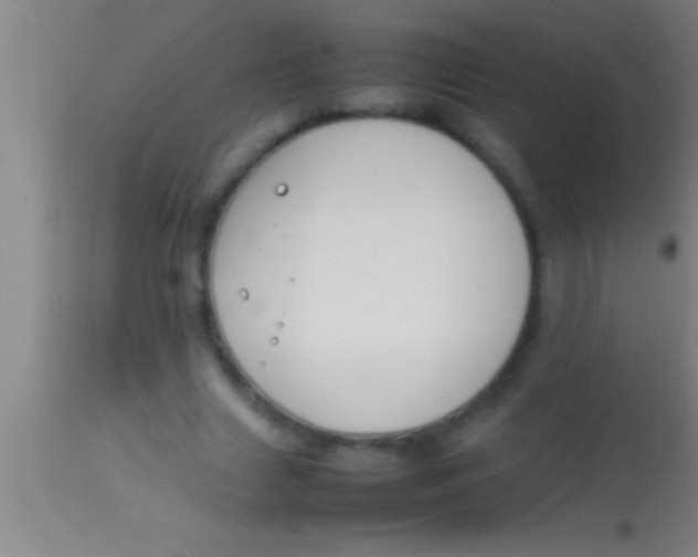 X0000113930633200910161852