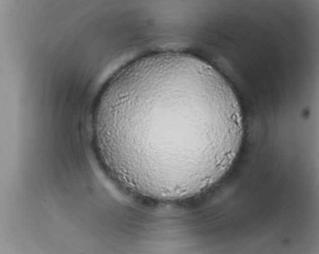 X0000113930634200910161852