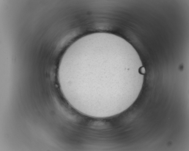 X0000113930635200910161852