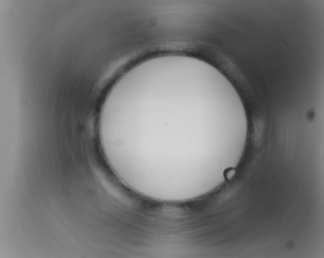 X0000113930636200910161852